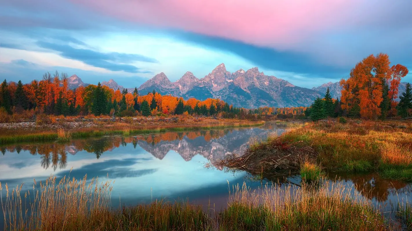 数字化创意